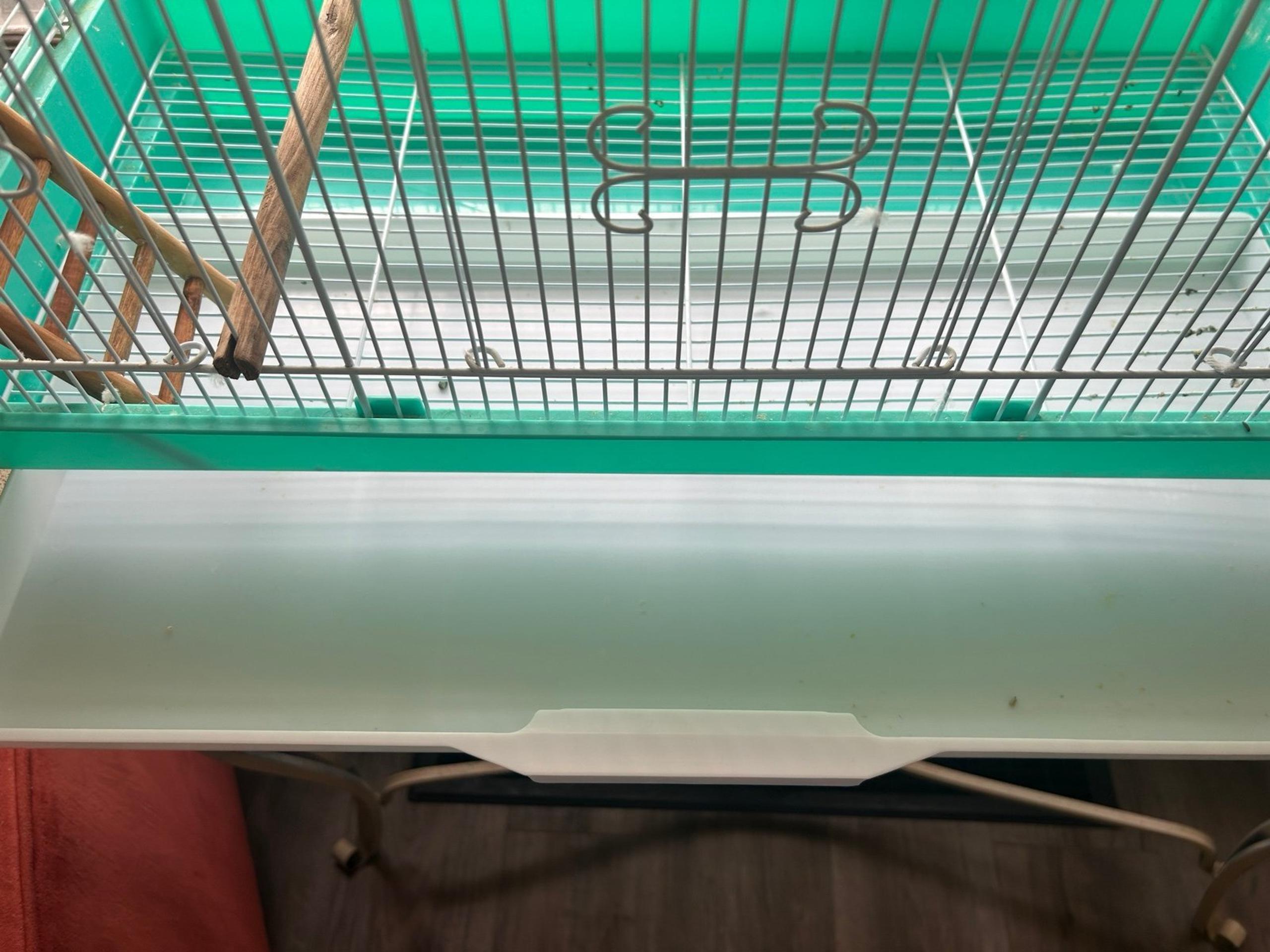 Medium bird cage