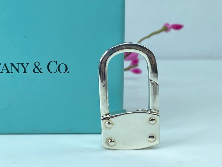 Authentic Sterling Tiffany & Co. Key ring Carabiner Padlock 1.5 20.9g JR2319