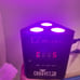 Chauvet DJ EZ Wedge Tri Battery Power Wireless LED Wash Lights