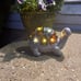 Solar Garden Outdoor Statues Turtle with Succulent and 7 LED Lights