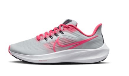 Nike Pegasus 39 Air Zoom