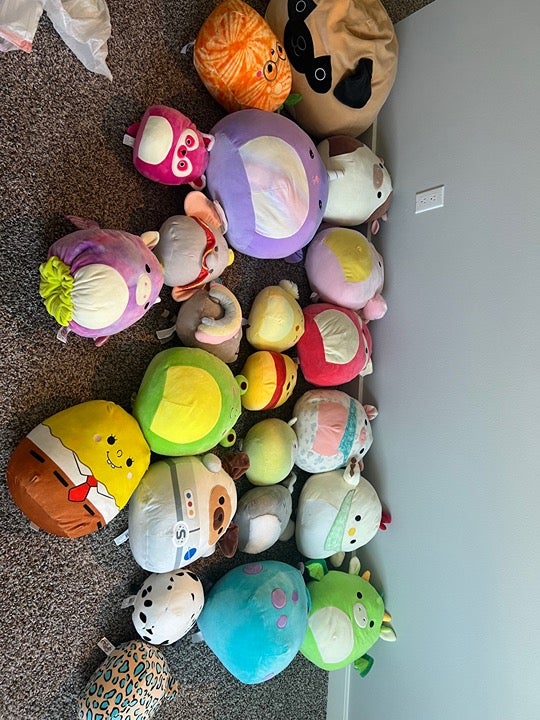 23 squishmallows in mint condition