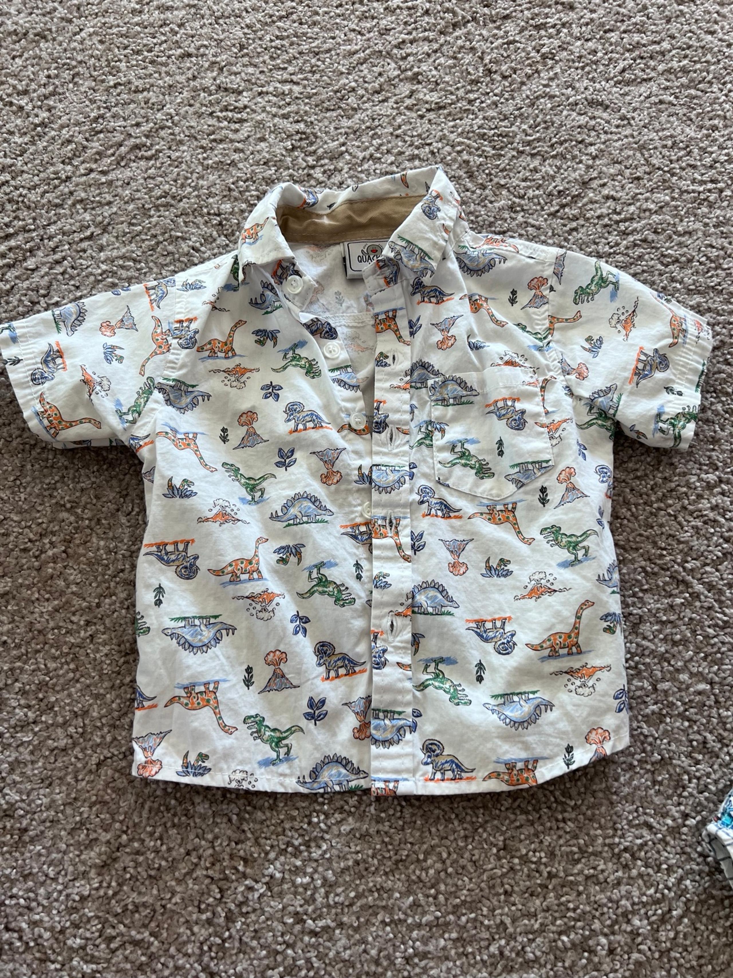 Toddler boys dinosaur polos
