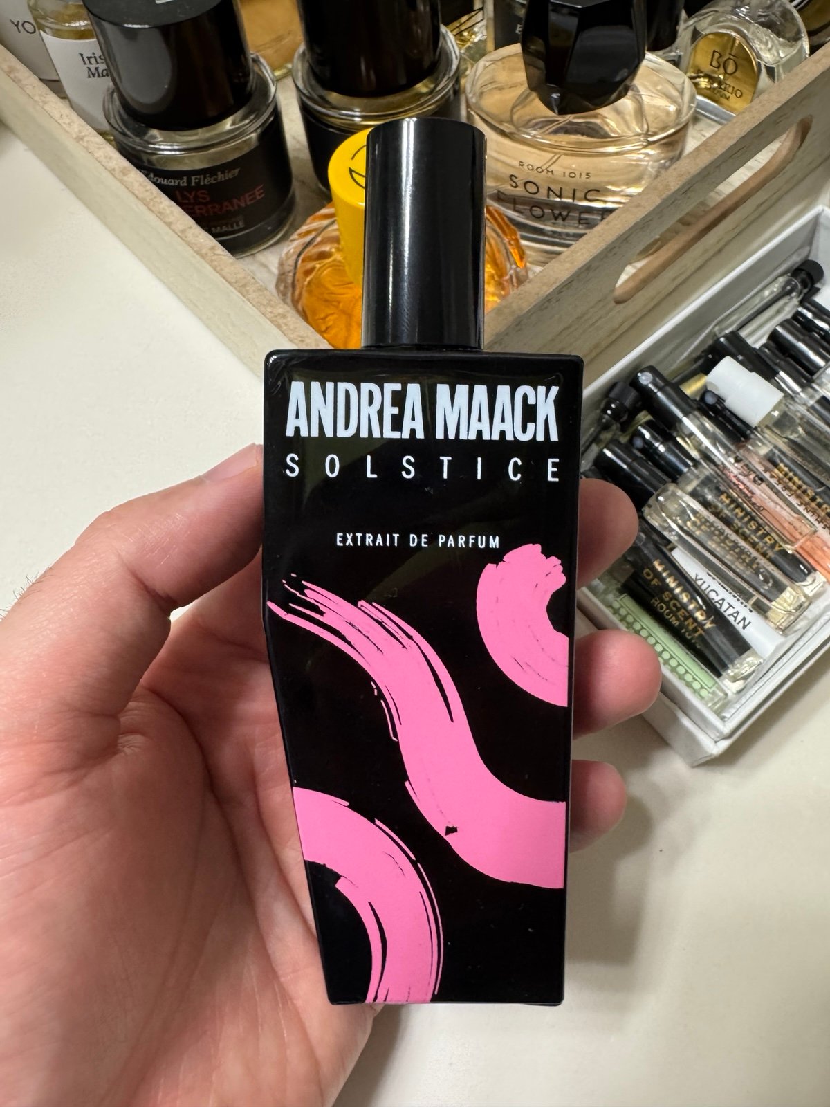 Andrea Maack Solctice extrait
