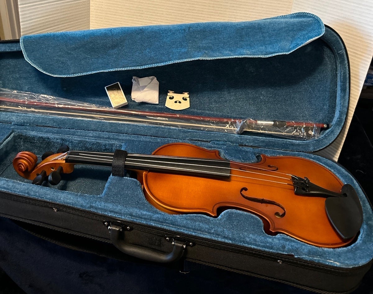 Violin