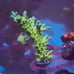 Fake Aquarium Decorations Coral Frags