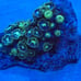 Fake Aquarium Decorations Coral Frags