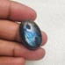 Labradorite Oval Shape Cabochon-LBDL-25-01