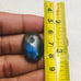 Labradorite Oval Shape Cabochon-LBDL-25-01