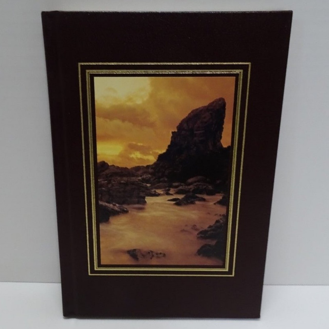 VTG 1996 National Geographic Wild Shores Of Australia LEATHER BOUND Ron Fisher