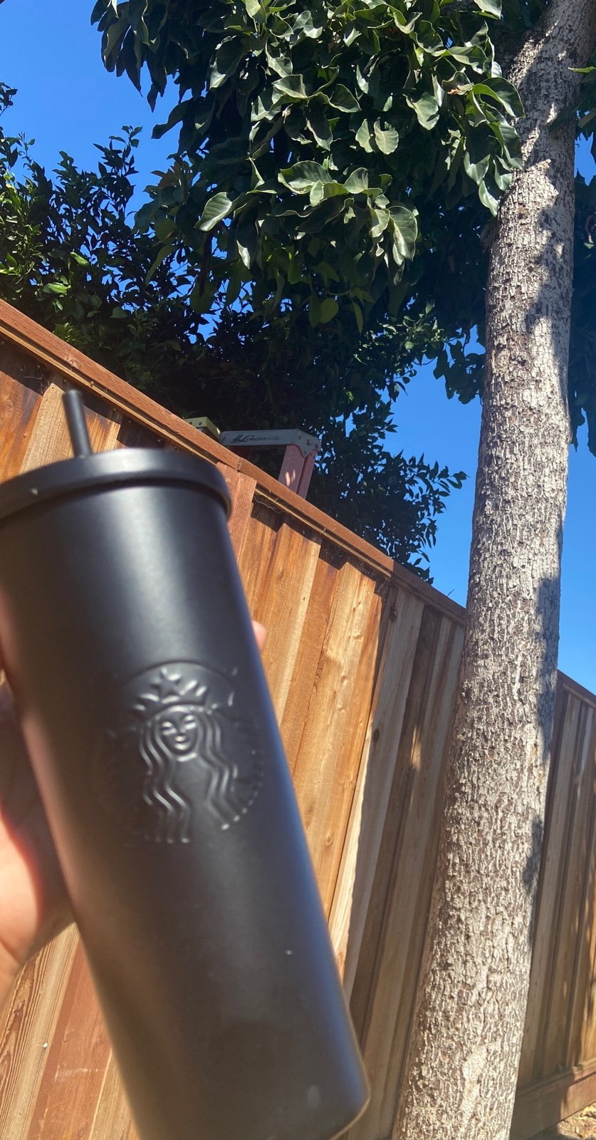 Starbucks Black Matte 24oz - Home | Color: Black