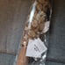 New Coach Umbrella