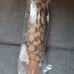 New Coach Umbrella