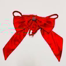 Victoria’s Secret satin panty RARE