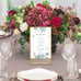 Set of 11 Gold Acrylic Frames