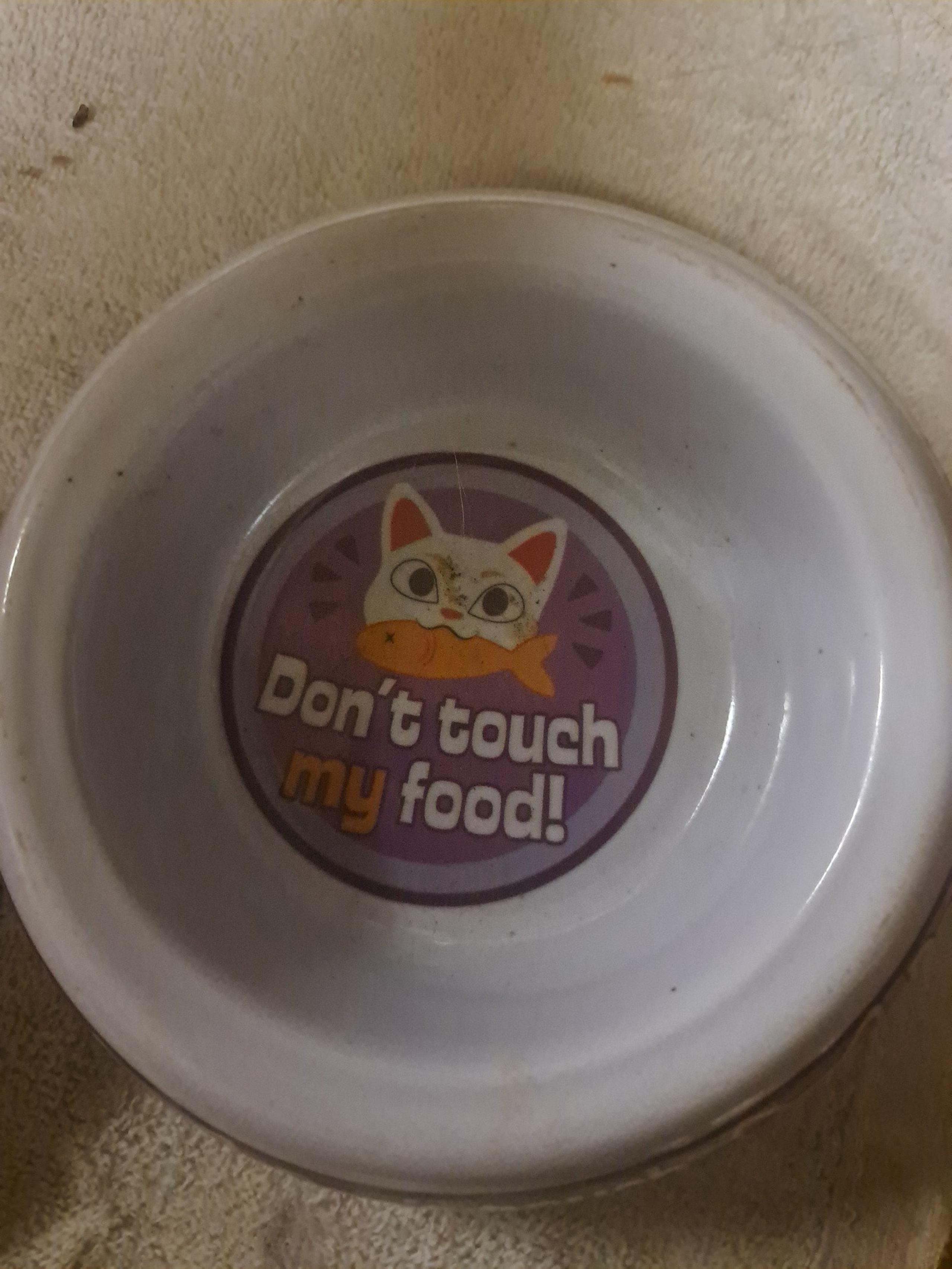 Don't touch my food. Cat. Bowls qty 2 New. Cute n Adorable - Petco
