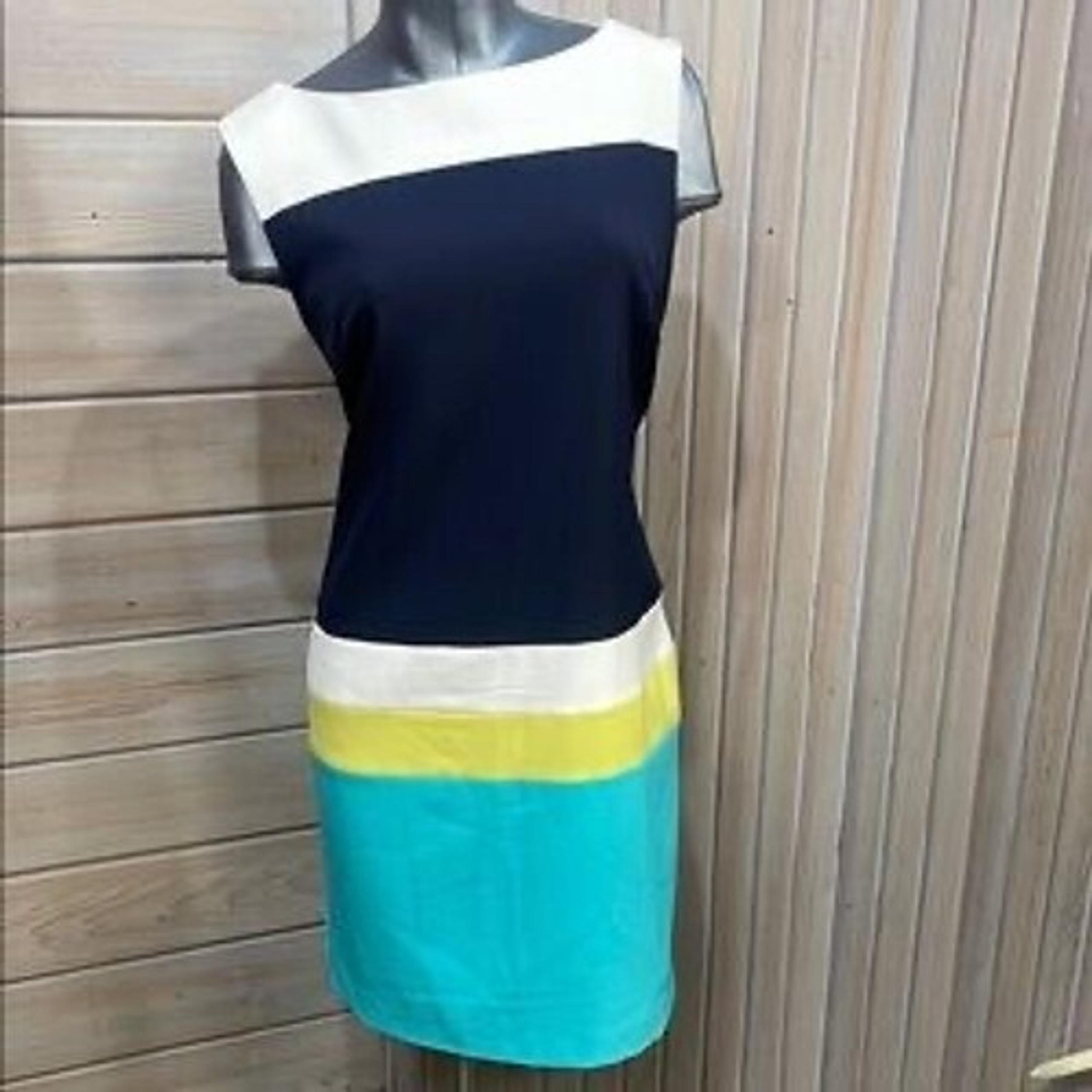 Roz & Ali Women's Knee Length Color Block Sleeveless Back Zipper Dress Size 20