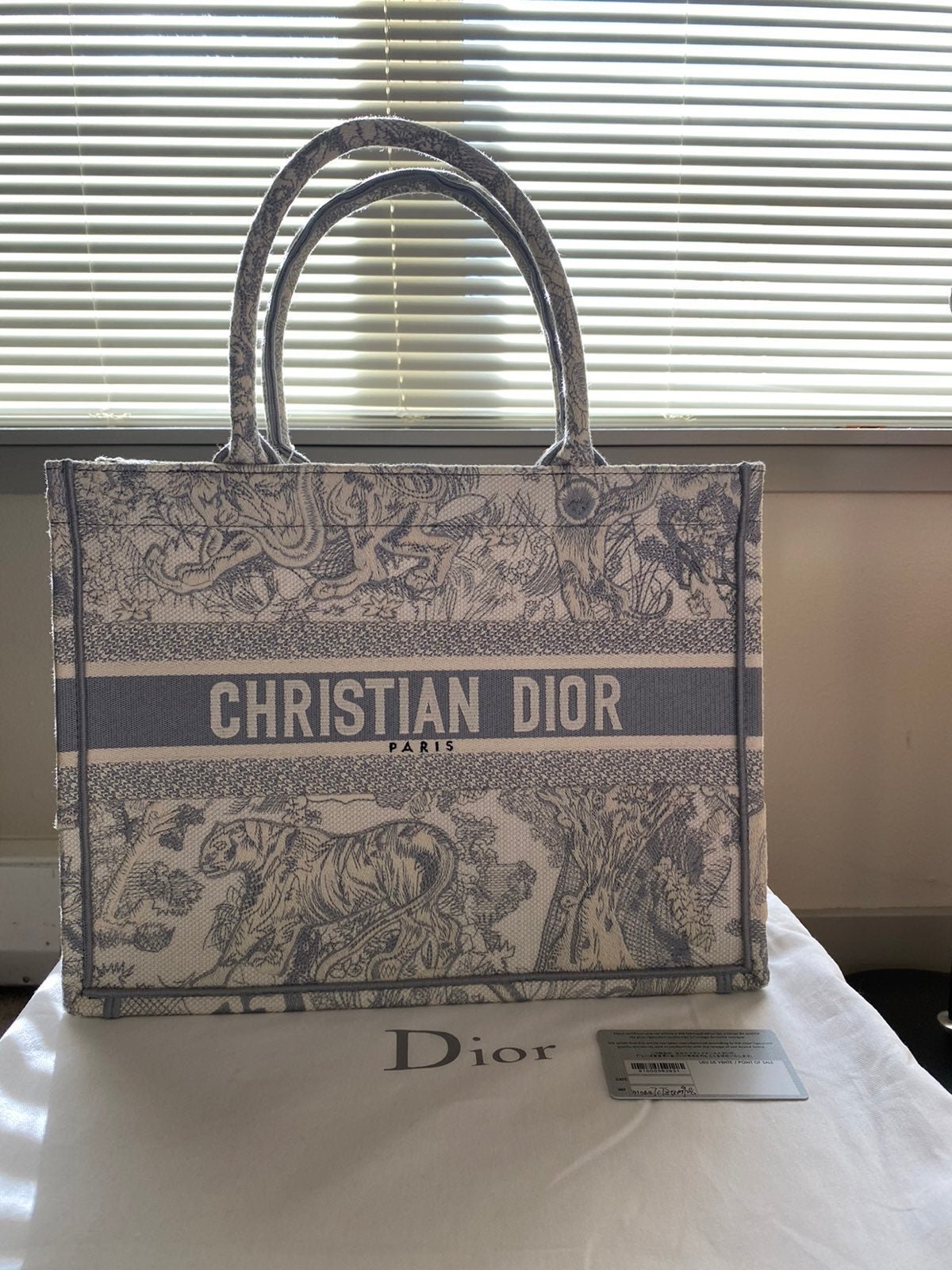 Christian Dior tote bag