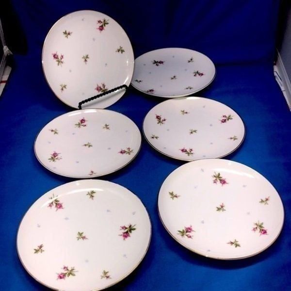 Fine China sango Japan rose saucer plates 6