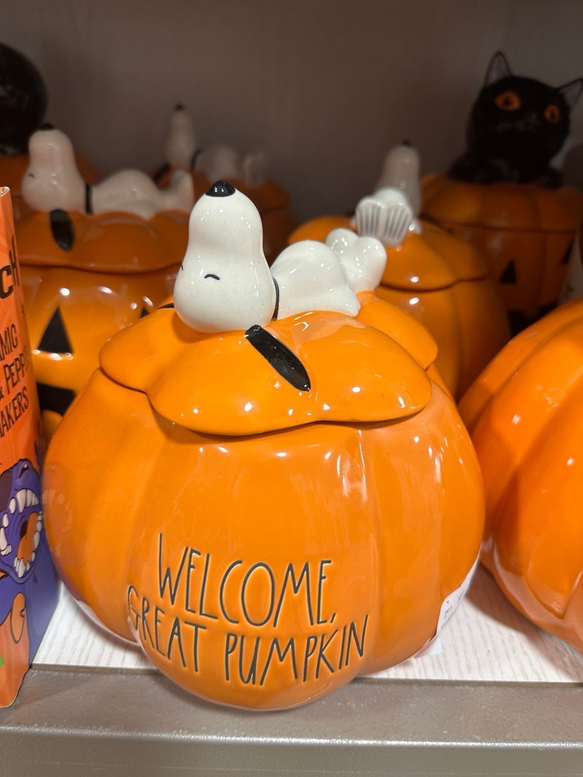 Rae Dunn Peanuts Snoopy Canister