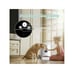 Automatic Cat Puppy Feeder, CA delivery, 8L Large Volume, Load About 4.0KG of Fe