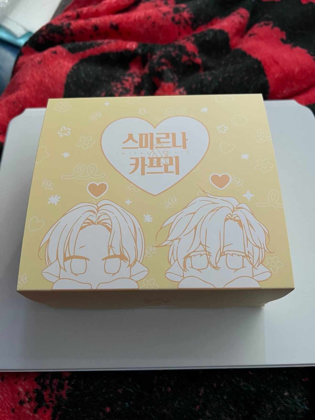 Smyrna and Capri plush set photocard mini stickers