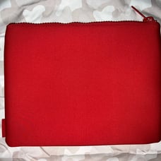 dagne dover XL scout pouch in siren
