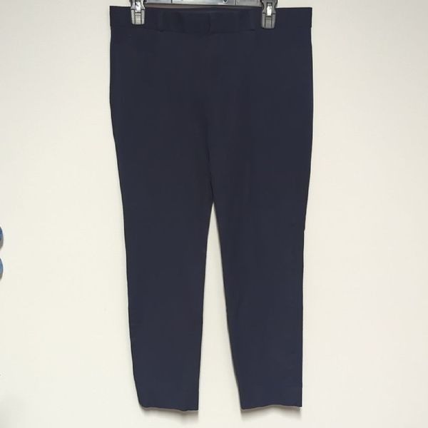 Banana Republic Blue Dress Pants with Slim Fit and Full Length
