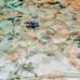 RARE and BEAUTIFUL Ralph Lauren vintage floral king size comforter