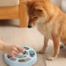 Dog Food Puzzle Feeder Toys for IQ Training & Mental Enrichment