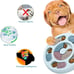 Dog Food Puzzle Feeder Toys for IQ Training & Mental Enrichment