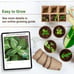Heirloom Vegetable Seeds Survival Garden Kit - Over 18,000 Seeds, 39 Varieties