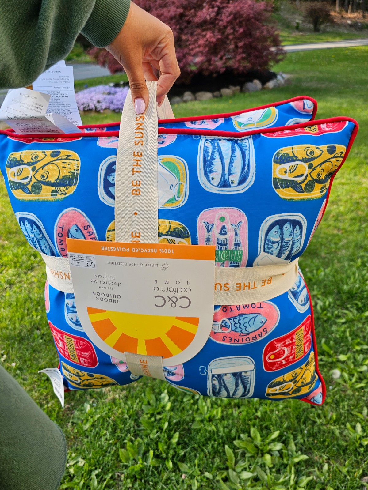 Sardines pillows -indoor/outdoor set of 2 NEW