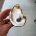 Set of 4 oyster shell napkins rings handmade NEW