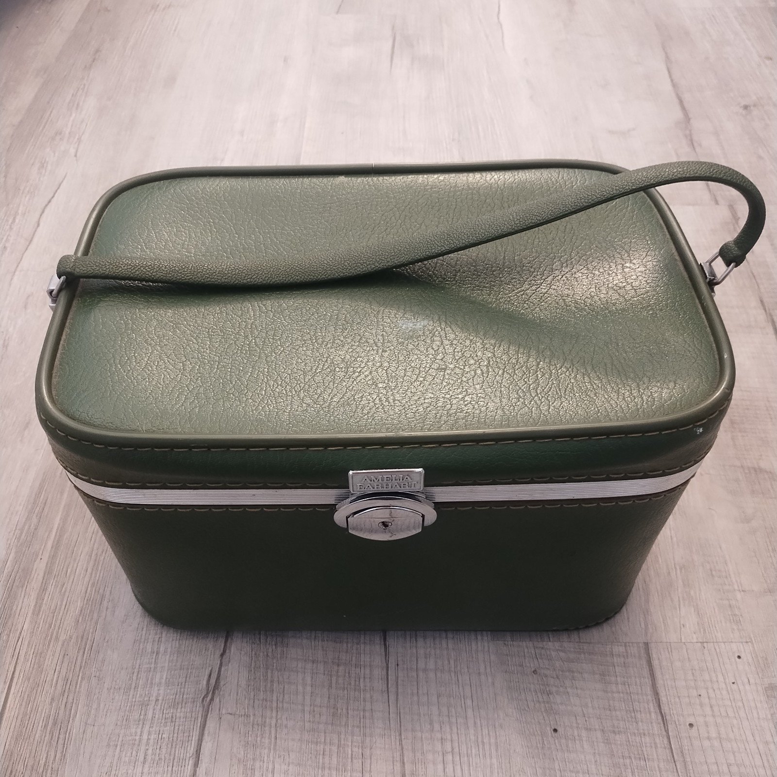 Amelia Earhart Luggage Travel Case Train Suitcase Carry-On Bag Cosmetics Holder