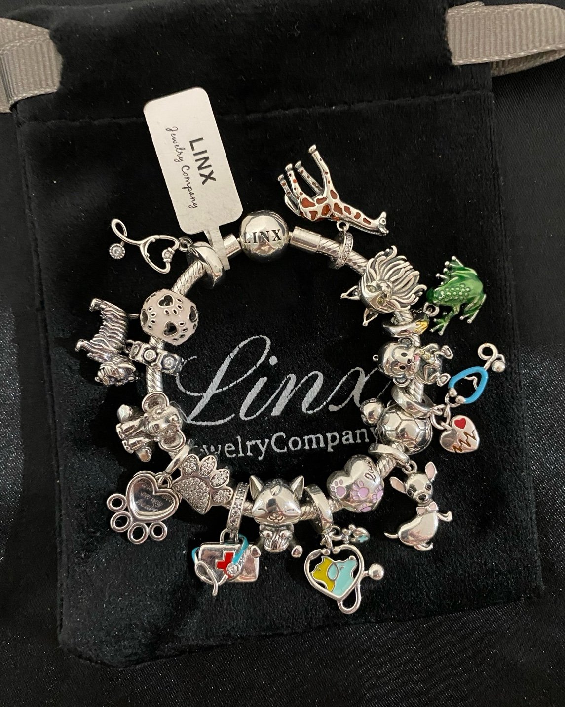 Linx Snake Chain Bracelet with Veterinarian and Animal Themed Charms