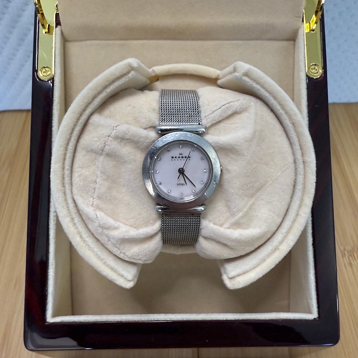 Skagen Denmark 107SSD Women's Steel Mesh Watch with Jewels, 19mm