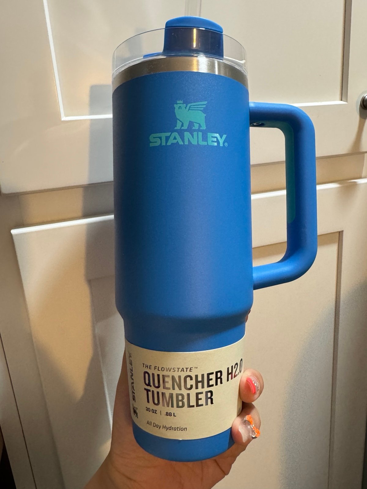 Stanley blue tumbler 30 oz