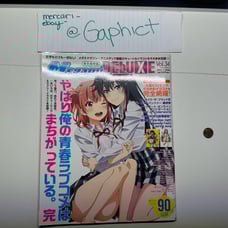 Megami Magazine Deluxe Vol. 34