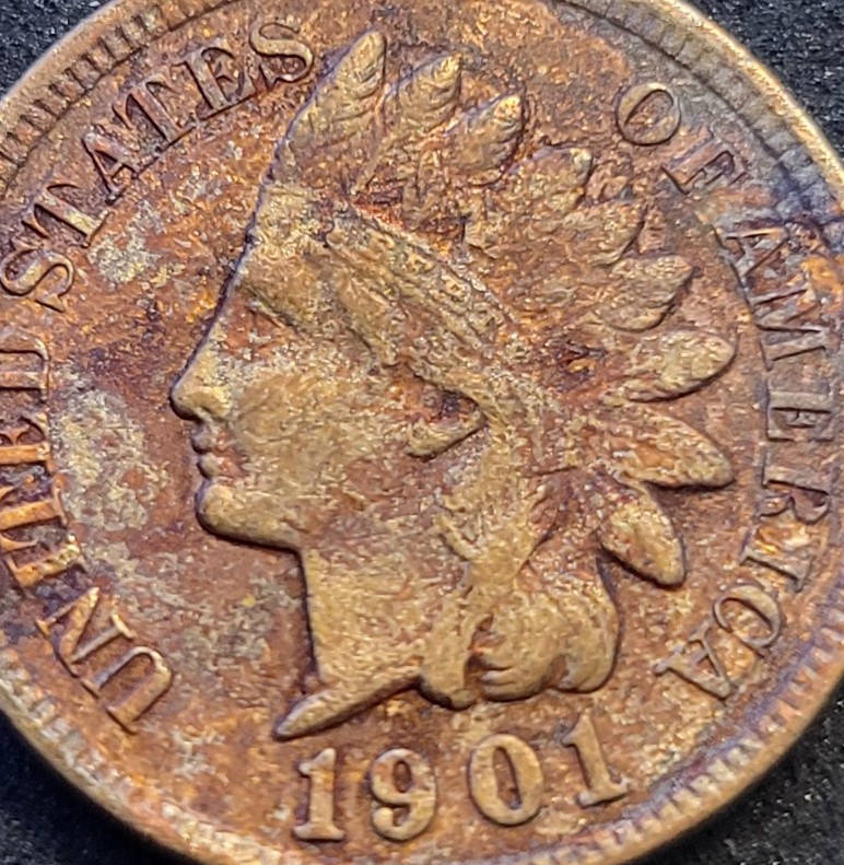 1901 Indian Head Cent #2545