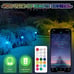 6 Pack Smart Low Voltage Landscape Lights