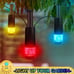 6 Pack Smart Low Voltage Landscape Lights
