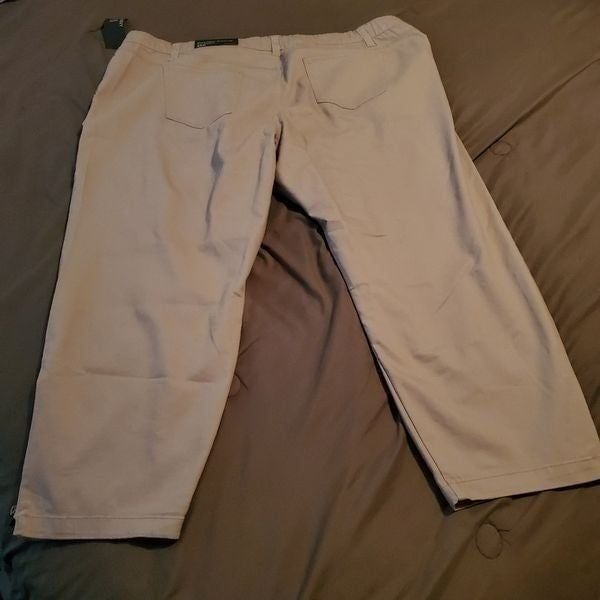 Avenue Khaki Skinny Plus Size Jeans Size 26P