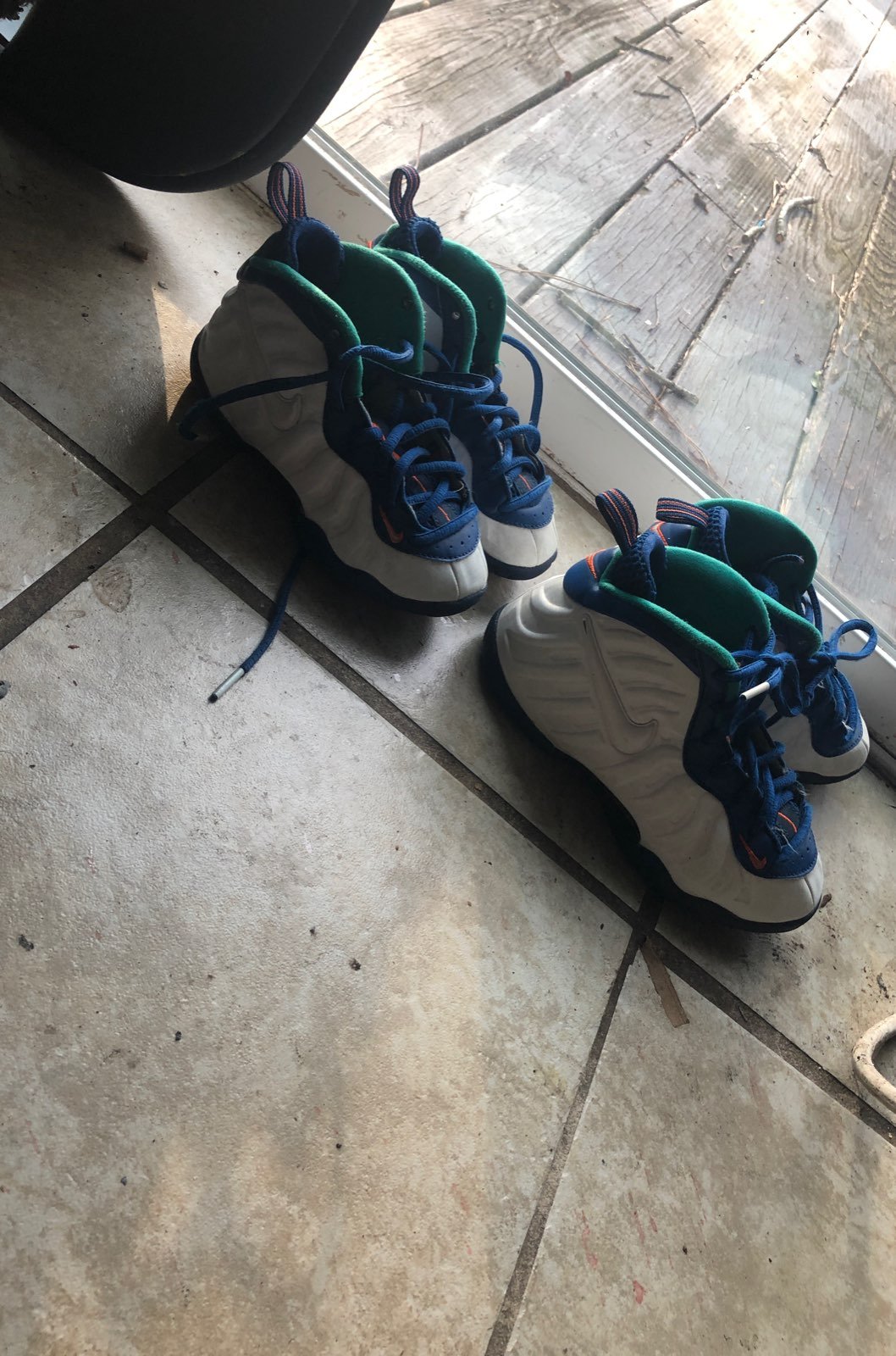 foamposite pro gym