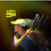 JOOLA Collin Johns or Anna Bright Scorpeus 3S Pickleball Paddle w/Propuls Paddle