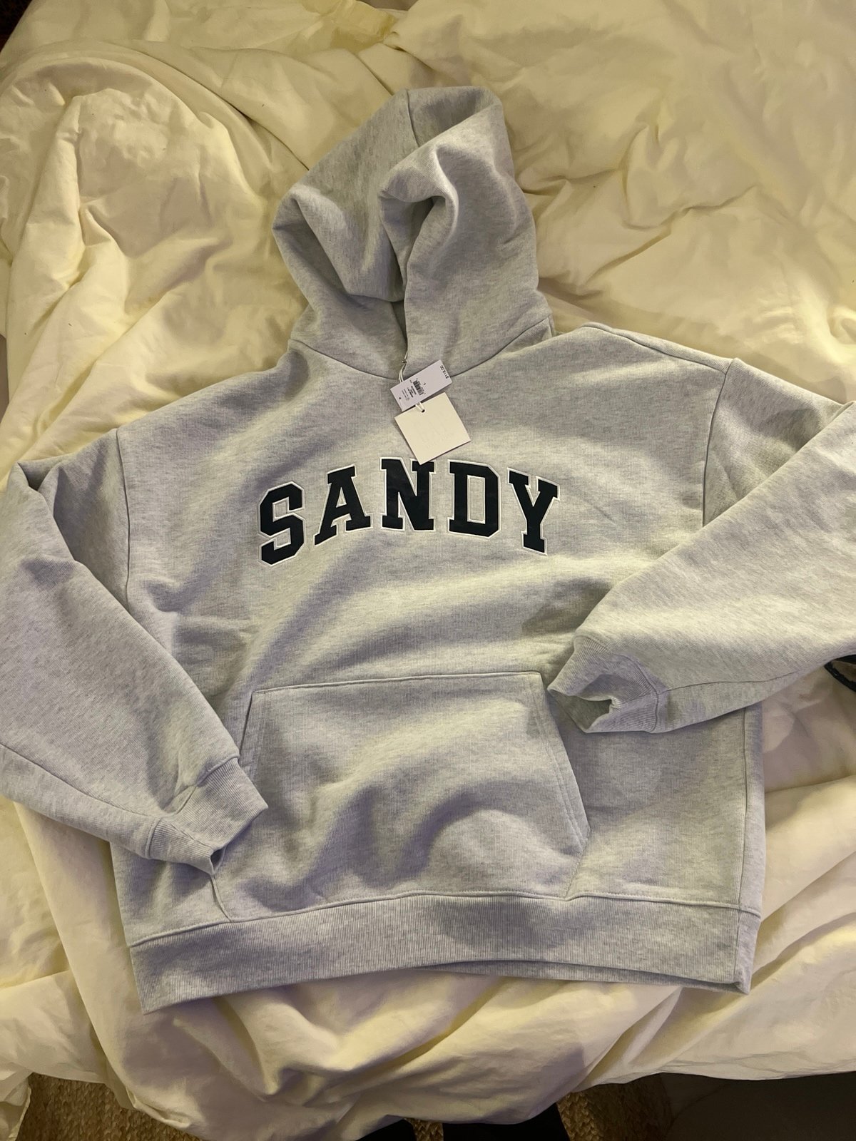 BNWT Sandy Liang x Gap heather grey hoodie size large