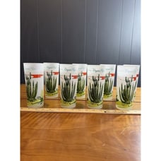 Set of 8 Vintage Organ Pipe Cactus Souvenir Frosted Glasses