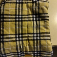 Dog clothing lot