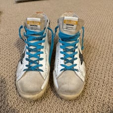 Super cute Francy Golden goose!