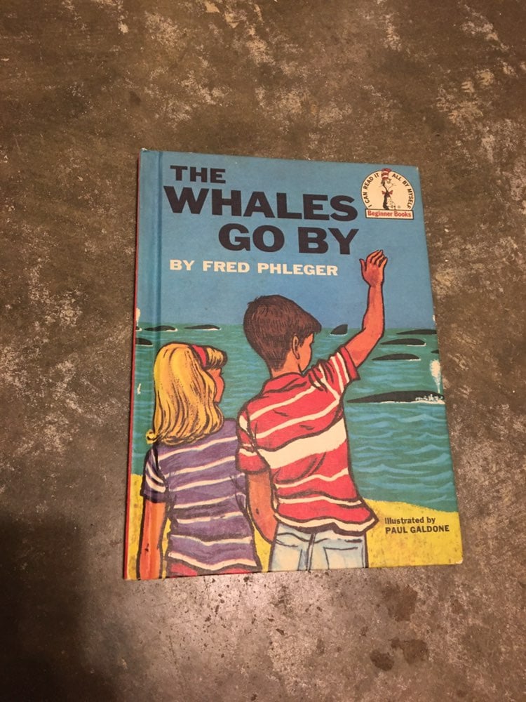 The Whales Go By book